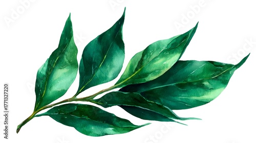 Lush verdant foliage with intricate leaf patterns and textures creating a tranquil and serene natural backdrop