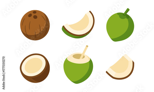 Variety of coconuts in flat style: whole, halved, and drinking