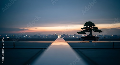Bonsai tree on a rooftop at sunset overlooking a city skyline.