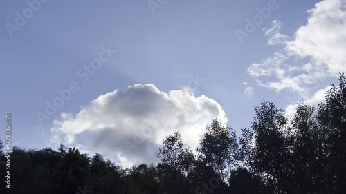 Sunlight Breaking Through Clouds Above Trees