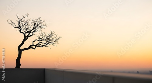 Silhouette of a bare tree against a vibrant sunset sky, minimalist landscape.