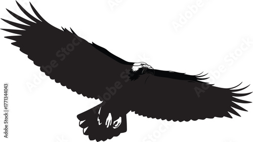 Falcon Silhouette Vector – Majestic Falcon Mid-Flight with Open Wings, Bird of Prey Minimalist Illustration, Black Vector on White Background