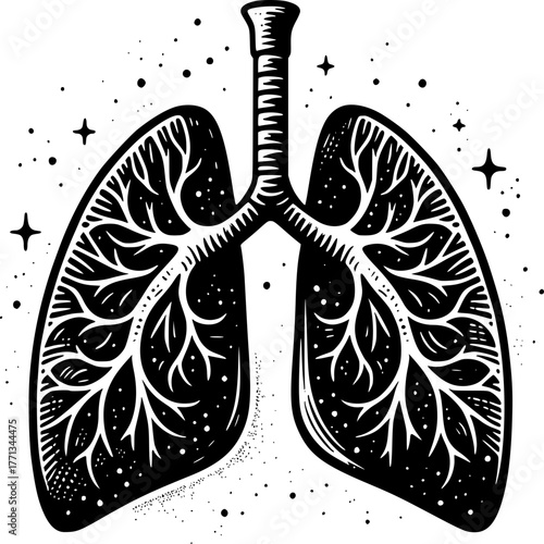 Anatomy of Life: An artistic illustration captures the intricate beauty of the lungs, highlighting their essential role in respiration and overall well-being.
