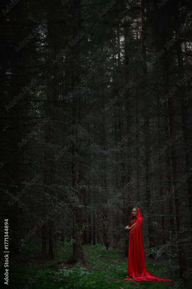 Fototapeta premium woman wears a striking red gown and hood while standing quietly in a shadowy forest. Tall trees surround her, creating an atmosphere of mystery