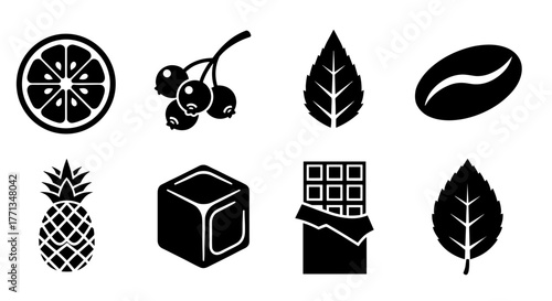 Diverse Food Icons Set for Culinary Designs: A Collection of Lemon Slice, Berries, Mint Leaves, Coffee Bean, Pineapple, Ice Cube, and Chocolate Bar for Recipes, Menus, and Nutrition Guides (Vector Ill