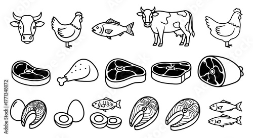 Assorted Meats Line Art Illustration Collection Presenting a Variety of Protein Sources for Healthy Eating, Conceptualizing Food Industry Products in Simple Graphic Style, Perfect for Nutrition Educat