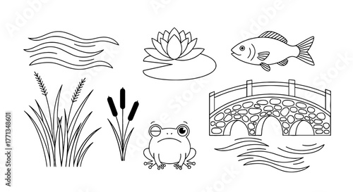 Pond Life Outlines: Captivating Aquatic Scene with Lotus Flower, Fish, and Frog on White Backdrop Depicting Tranquility, Ideal for Children's Education, Nature Illustration, and Serene Desktop Backgro