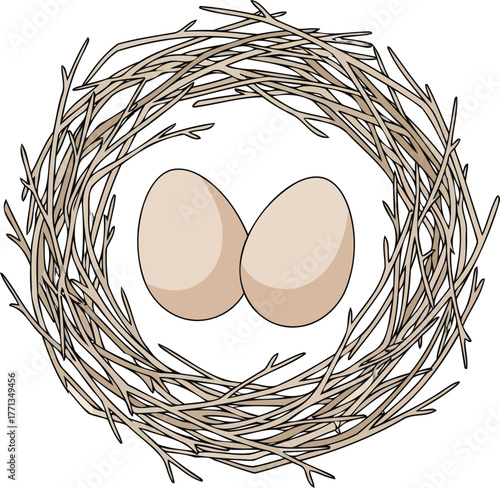 Two natural organic eggs nestled inside a twig bird's nest symbolizing new life and beginnings vector