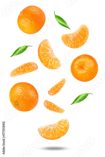 dynamic composition of fresh ripe mandarins or clementines, whole fruits and separated segments with green leaves, flying or falling, isolated photograph.