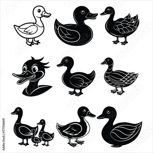 Wild Duck Silhouette Illustration on White Background