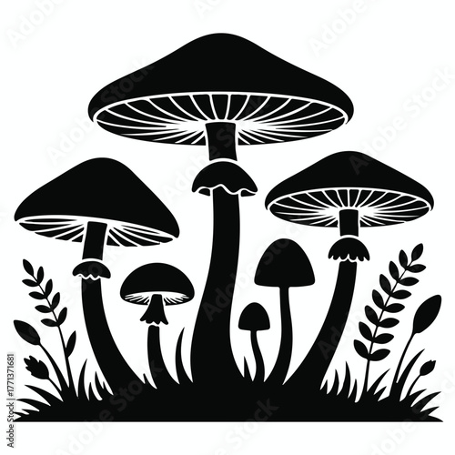 Silhouette of a cluster of various mushrooms growing in tall grass and foliage