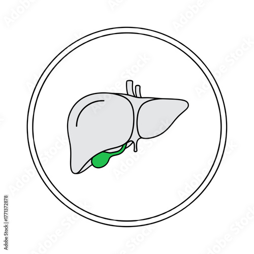 Gallbladder icon illustrated with liver in simple style  