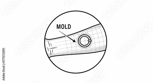 Illustration of mold on surface with labeled diagram  