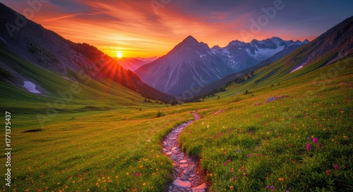Alpine Meadow Trail at Sunset with Majestic Mountain View