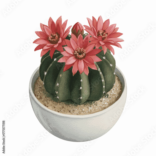 Potted Round Cactus Gymnocalycium horstii isolated watercolor vector illustration svg