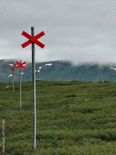 Red winter trail markers standing out against lush green mountain terrain and low clouds in the Swedish highlands — a symbol of guidance and solitude in the Scandinavian wilderness.