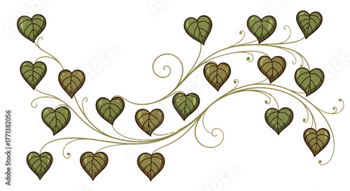 Elegant decorative vine illustration with heart-shaped green and brown leaves and gracefully swirling tendrils