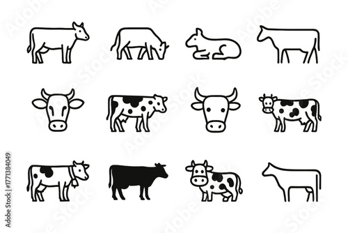 Set of Twelve Simplistic and Cartoonish Cow Illustrations in Various Positions and Styles