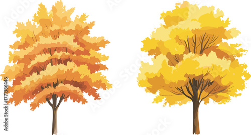 Autumn season trees with yellow and orange leaves illustration, fall foliage nature landscape design, colorful vector tree background art element.