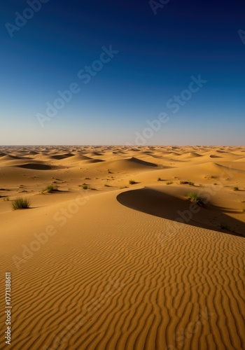 Endless Sands Under a Clear Sky: Witness the timeless beauty of a vast desert landscape, where golden dunes stretch towards the horizon under a flawless blue sky.