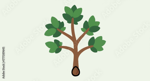 Vector illustration of a mustard seed growing into a plant. A symbol of faith, growth, and new beginnings. Simple flat design graphic