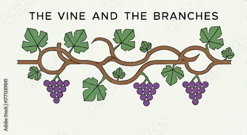 The Vine and the Branches biblical parable illustration. Christian symbol of a grapevine with grapes and leaves. Flat design vector graphic