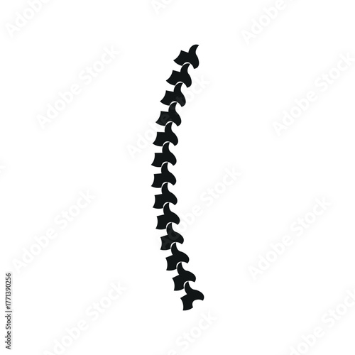 Spine Illustration