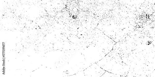 Vector dust isolated on white background and texture old film grainy noise. Grunge texture Distressed Effect. Grungy Background textured effect. Black and white Dust overlay paint, stroke, ink.