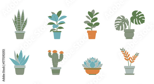 Diverse indoor potted plant collection on white backdrop minimalist vector