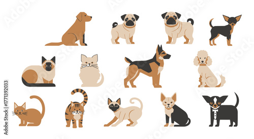 Variety of Flat Vector Dog and Cat Breed Illustrations