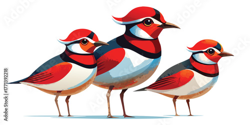 Majestic Frigatebirds with Red Throat Pouch – Marine Bird Vector Illustration