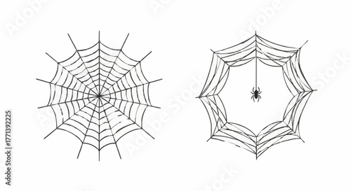 Illustration of Spiderwebs, One with a Spider Hanging in the Center, on a White Background