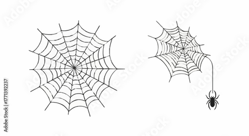 Illustrated Spiderwebs and a Spider Hanging by Silk Thread on White Background