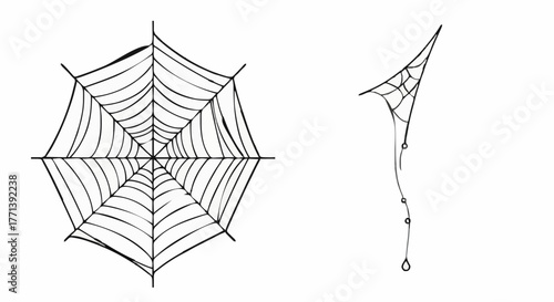 A collection of hand-drawn spiderweb illustrations. Features a classic circular cobweb and a hanging corner web, isolated on a white background
