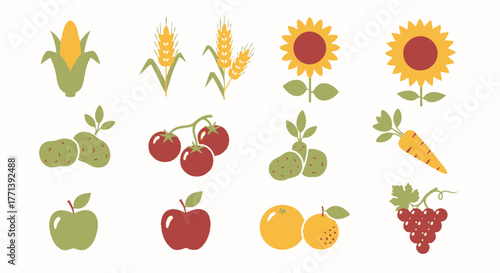 Harvest Crop Vector Illustration Corn Wheat Sunflower Tomato Apple Orange