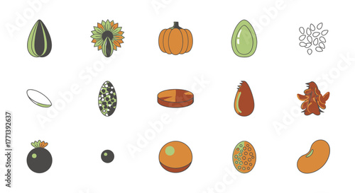 Assorted Vegetable Seeds Isolated on White Background Vector Illustration