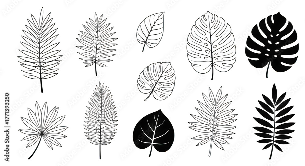 Obraz premium Collection of Diverse Leaf Silhouettes Displayed Against Black Background