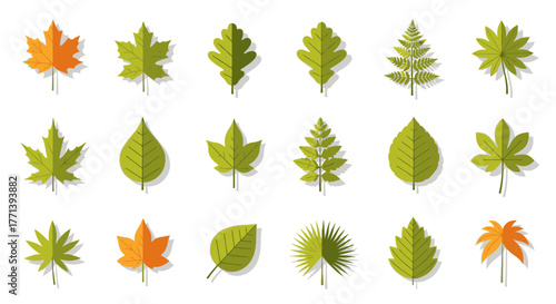 Diverse Botanical Leaves Collection Minimalist Flat Design Pattern Isolated