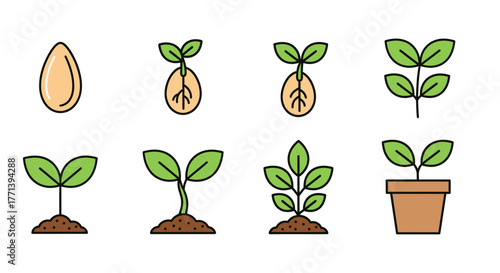 Seed Germination Stages Plant Growth Process Cycle Icon Illustration