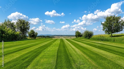 Lush Green Lawn with Stripes Under a Bright Blue Sky and Clouds