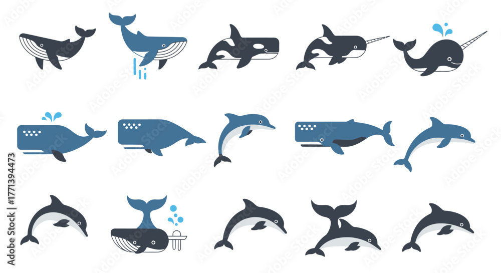 Fototapeta premium Marine Mammals Illustration Set Whales Dolphins Narwhals Graphic Design