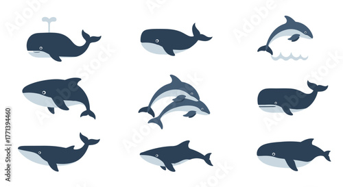 Stylized Marine Mammal Icons Whales Dolphins on White