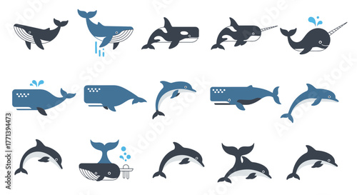 Marine Mammals Illustration Set Whales Dolphins Narwhals Graphic Design