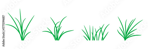 Illustration of green grasses set on white background