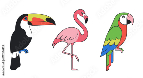 Tropical Bird Trio Cartoon Toucan Flamingo Macaw Illustration
