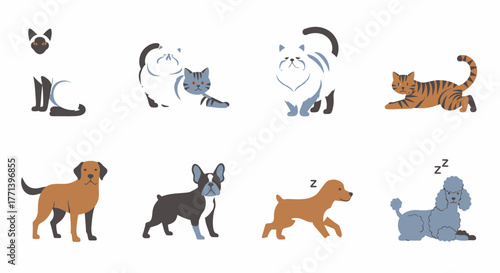 Collection of Stylized Cats and Dogs Posing Creatively