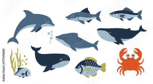 Underwater Marine Animals Illustration Set Ocean Creatures Vector Design