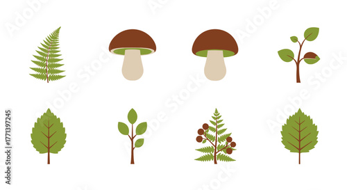 Forest Elements Flat Icons Nature Plants and Fungi Set