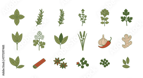 Variety of cooking herbs and spices isolated on white background