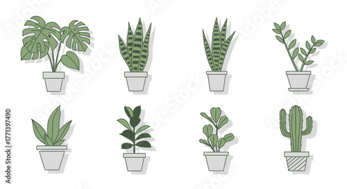 Modern Potted Plants Illustration Collection Minimalist Style